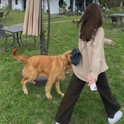 我的温尼伯